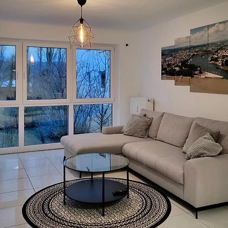 Schoene Und Ruhige Wohnung Direkt An Der Mosel Koblenz  Bagian luar foto