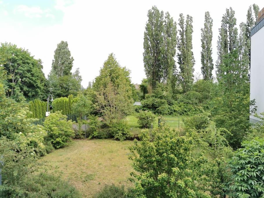 Schoene Und Ruhige Wohnung Direkt An Der Mosel Koblenz  Bagian luar foto
