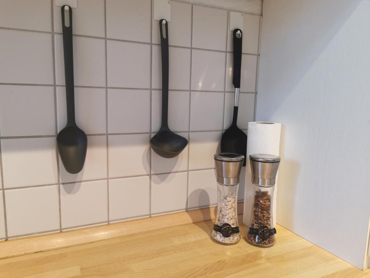 Schoene Und Ruhige Wohnung Direkt An Der Mosel Koblenz  Bagian luar foto
