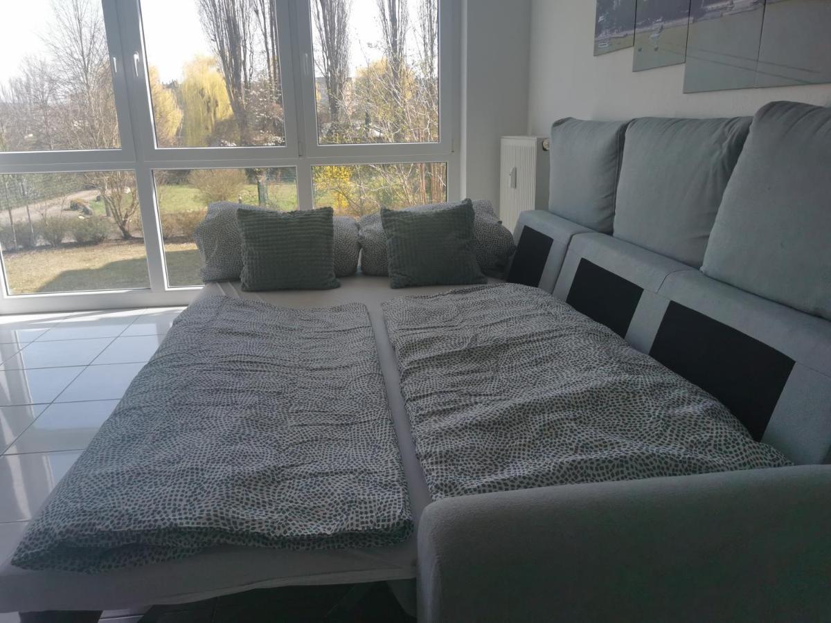 Schoene Und Ruhige Wohnung Direkt An Der Mosel Koblenz  Bagian luar foto